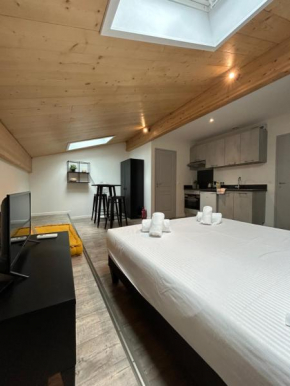 Beau Studio lumineux avec Climatisation pour 2 Personnes
